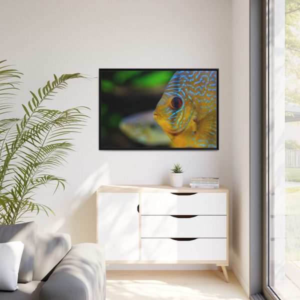 88289-78.jpg Yellow Exotic Fish Framed Canvas