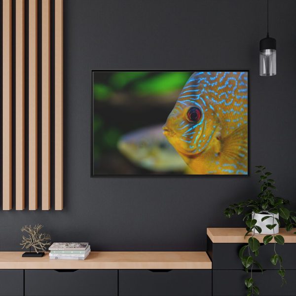 88289-79.jpg Yellow Exotic Fish Framed Canvas