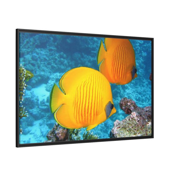 88289-80.jpg Exotic Fish Framed Canvas