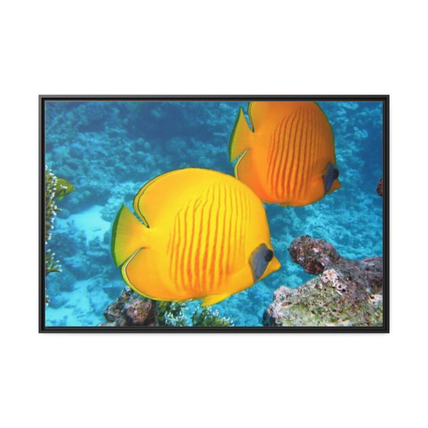 88289-81.jpg Exotic Fish Framed Canvas