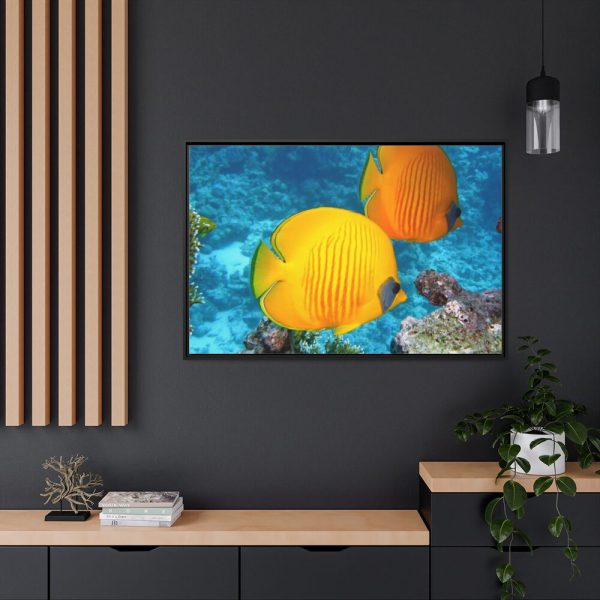88289-84.jpg Exotic Fish Framed Canvas