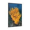 Yellow Corals Framed Canvas