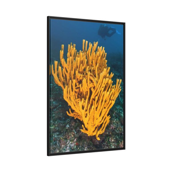 Yellow Corals Framed Canvas