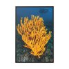 Yellow Corals Framed Canvas