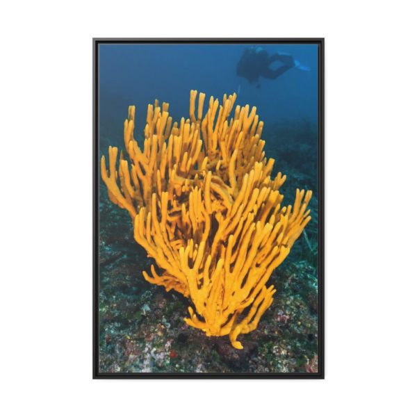 Yellow Corals Framed Canvas