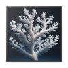 88302-1.jpg Coral Against a Dark Blue Background Framed Canvas