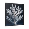 88302.jpg Coral Against a Dark Blue Background Framed Canvas