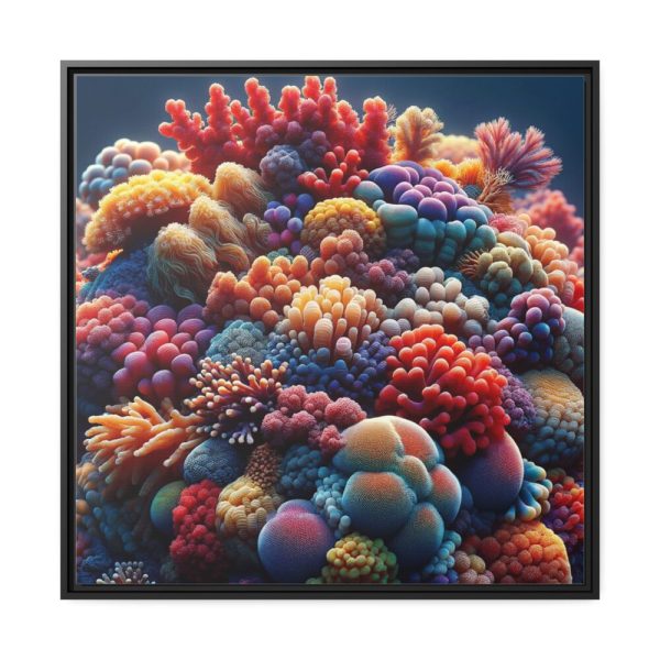 Close-Up of the Corals Framed Canvas