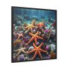 88302-60.jpg Assortment Of Colorful Starfish Framed Canvas