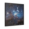 88302-80.jpg Stellar Nursery in Large Magellanic Cloud Framed Canvas