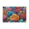91638-161.jpg Coral Illustration Standard Canvas