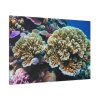 91638-165.jpg Coral Reef In The Ocean Standard Canvas