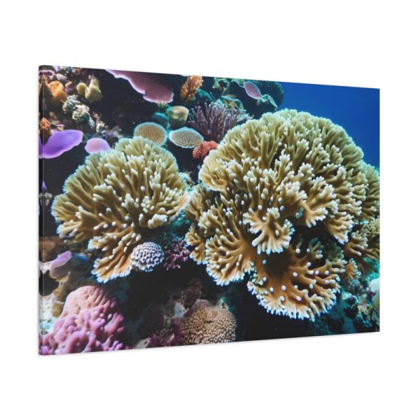 91638-165.jpg Coral Reef In The Ocean Standard Canvas