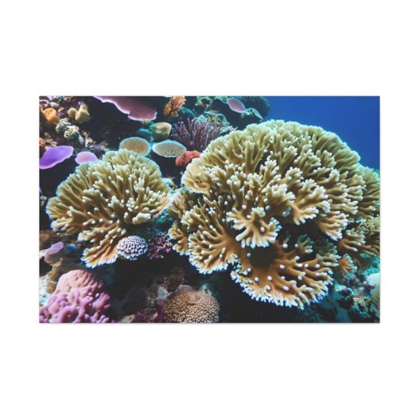 91638-166.jpg Coral Reef In The Ocean Standard Canvas