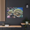 91638-168.jpg Coral Reef In The Ocean Standard Canvas