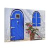 91638-205.jpg Blue Door and Pink Flower Standard Canvas