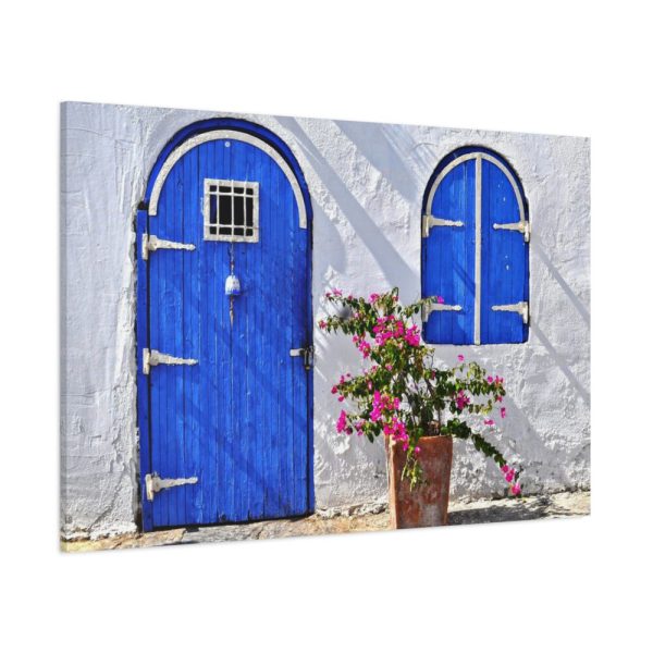 91638-205.jpg Blue Door and Pink Flower Standard Canvas