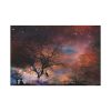 91638-276.jpg Starry Night Sky Standard Canvas