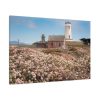 91638-5.jpg The Piedras Blancas Light Station Standard Canvas