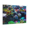 91638-55.jpg Colorful Reefs and Fish Standard Canvas