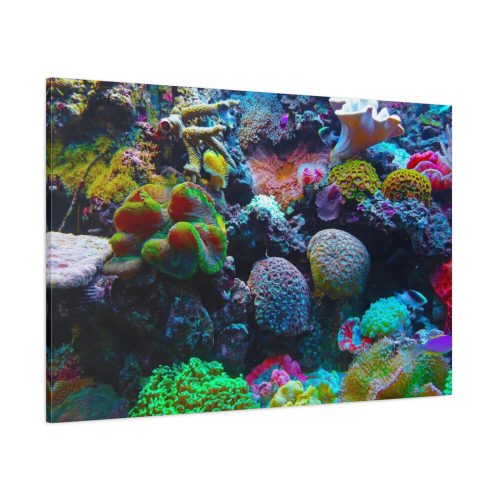 Colorful Reefs and Fish Standard Canvas