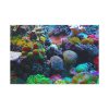 91638-56.jpg Colorful Reefs and Fish Standard Canvas