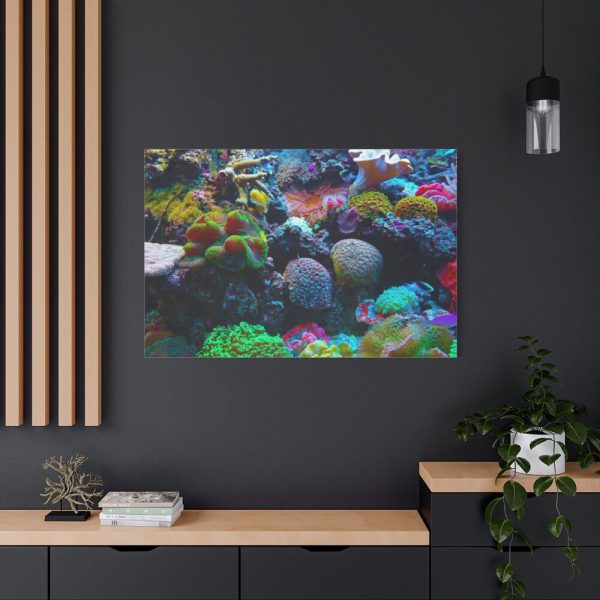 91638-58.jpg Colorful Reefs and Fish Standard Canvas