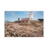 91638-6.jpg The Piedras Blancas Light Station Standard Canvas