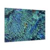 91638-60.jpg Hiding Clown Fish In Corals Standard Canvas