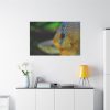 91638-72.jpg Yellow Exotic Fish Standard Canvas