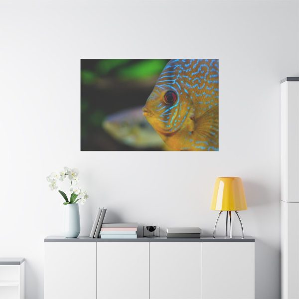 91638-72.jpg Yellow Exotic Fish Standard Canvas