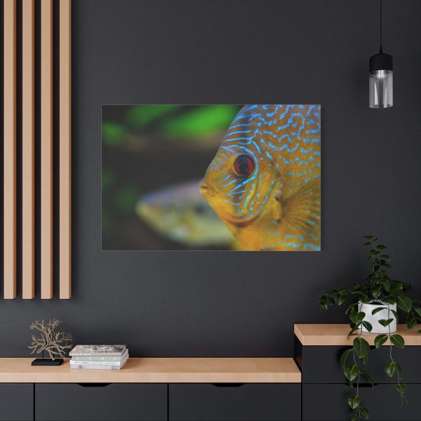 91638-73.jpg Yellow Exotic Fish Standard Canvas