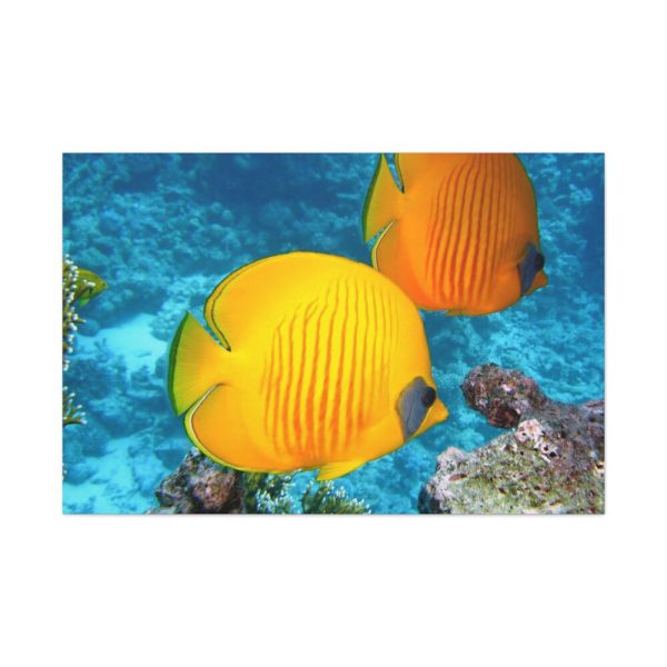 91638-76.jpg Exotic Fish Standard Canvas