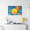 91638-77.jpg Exotic Fish Standard Canvas