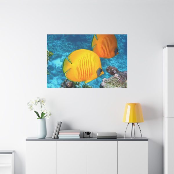 91638-77.jpg Exotic Fish Standard Canvas