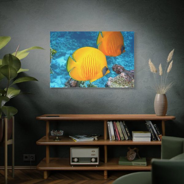 91638-79.jpg Exotic Fish Standard Canvas