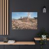 91638-8.jpg The Piedras Blancas Light Station Standard Canvas