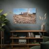 91638-9.jpg The Piedras Blancas Light Station Standard Canvas