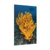 91655-10.jpg Yellow Corals Standard Canvas
