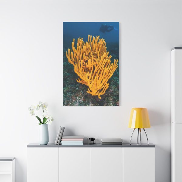 91655-12.jpg Yellow Corals Standard Canvas