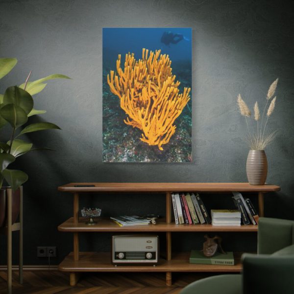 91655-14.jpg Yellow Corals Standard Canvas