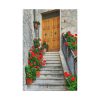 91655-66.jpg Doors With Flowers Standard Canvas