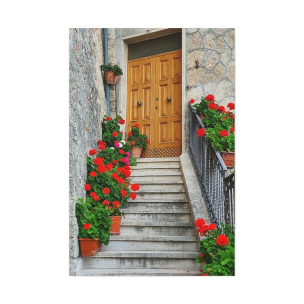 91655-66.jpg Doors With Flowers Standard Canvas