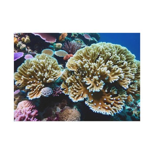 Coral Reef In The Ocean Poster
