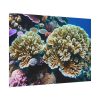92408-182.jpg Coral Reef In The Ocean Poster