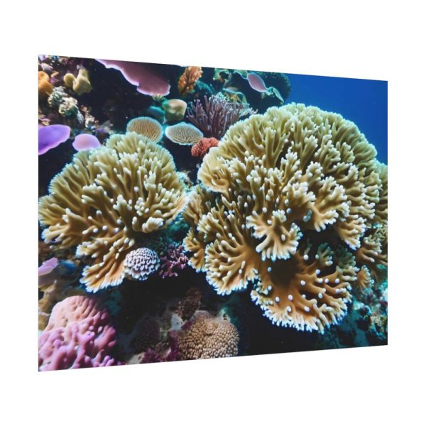 92408-182.jpg Coral Reef In The Ocean Poster