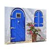 Blue Door and Pink Flower Poster