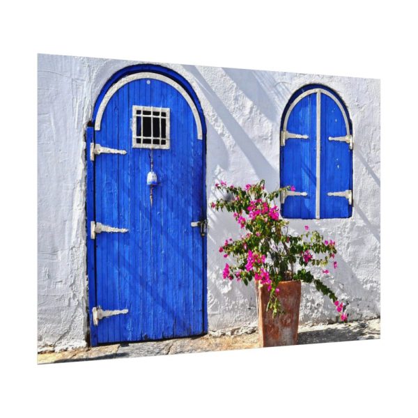 Blue Door and Pink Flower Poster