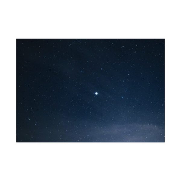 92408-320.jpg Bright Lone Star Poster