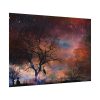 Starry Night Sky Poster
